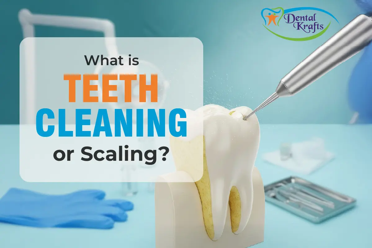 Teeth Cleaning Scaling